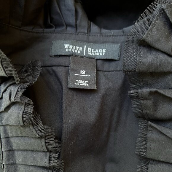 White House Black Market Mesh Ruffle Pleated Carnival Steampunk Shirt Top Sz 12 - Picture 4 of 4